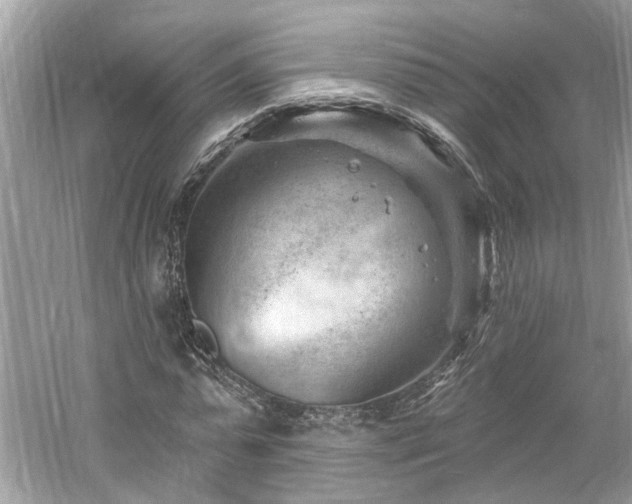 X0000061150775200511181233