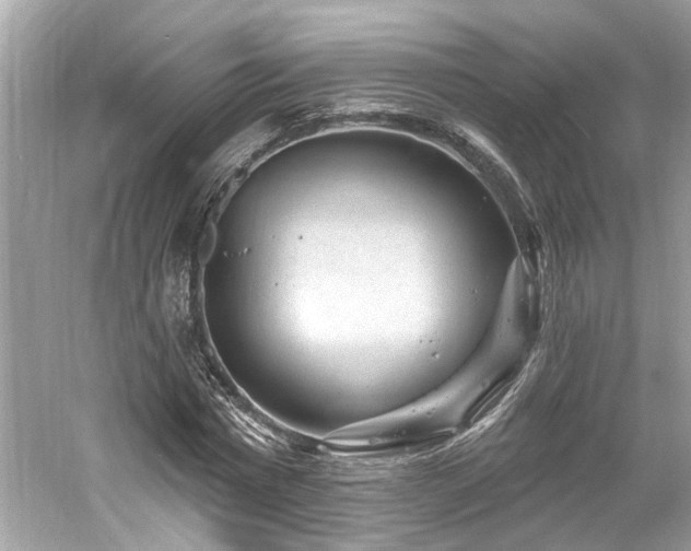 X0000061150777200511181233