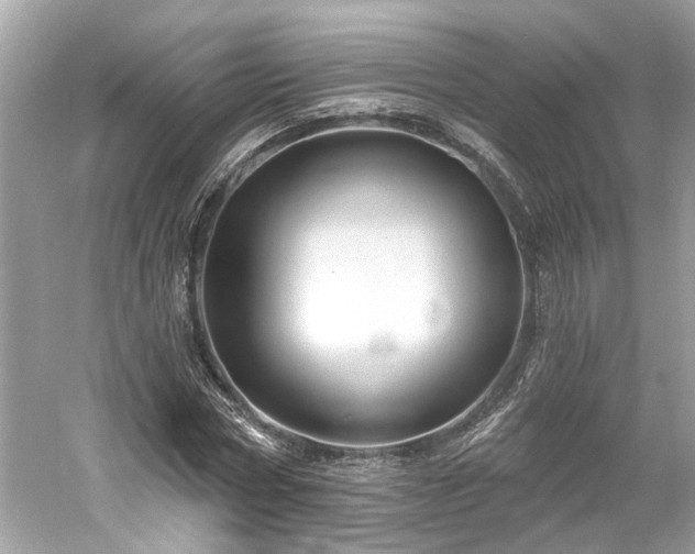 X0000061150778200511181233