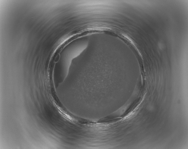 X0000061150779200511181233