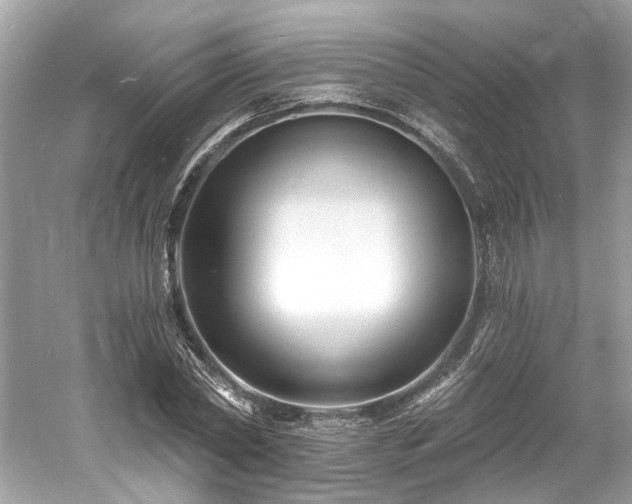 X0000061150782200511181233