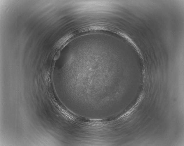 X0000061150785200511181233