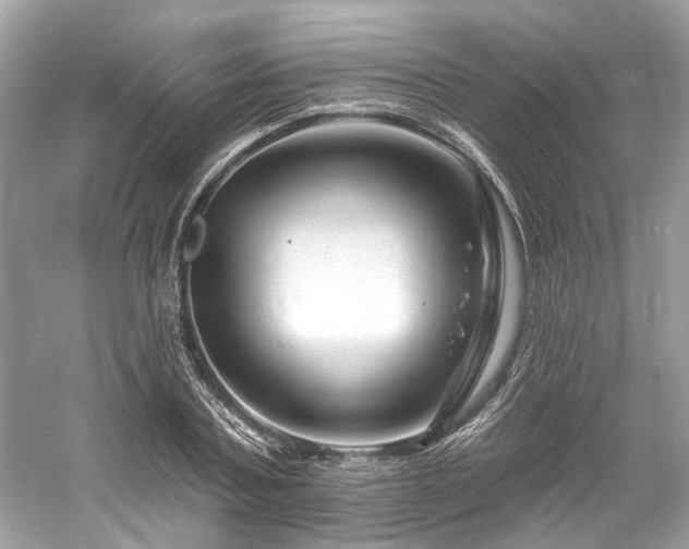 X0000061150787200511181233