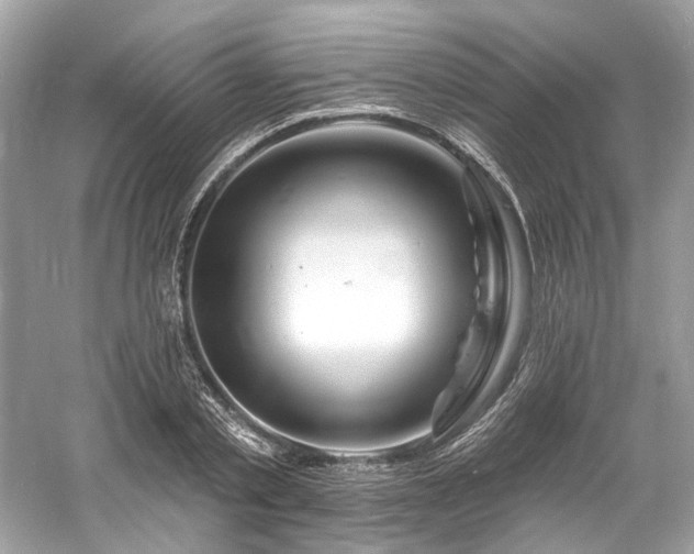 X0000061150789200511181233