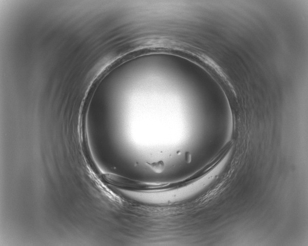 X0000061150791200511181233