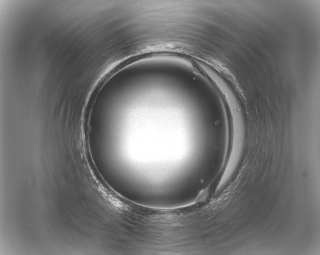 X0000061150792200511181233