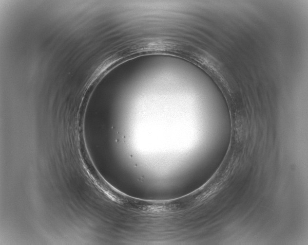 X0000061150794200511181233