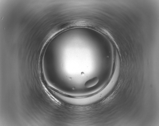 X0000061150795200511181233