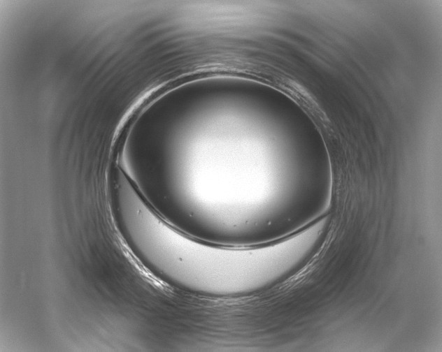 X0000061150796200511181233