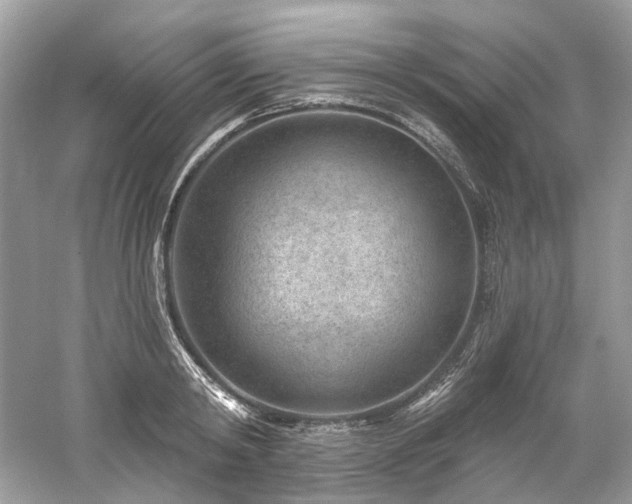 X0000061150798200511181233