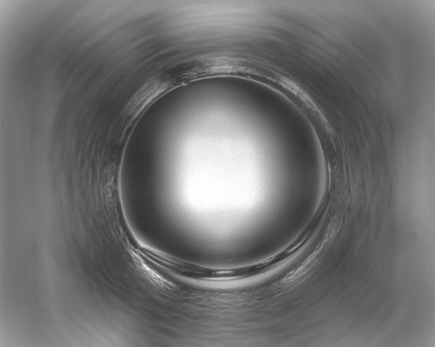 X0000061150801200511181233