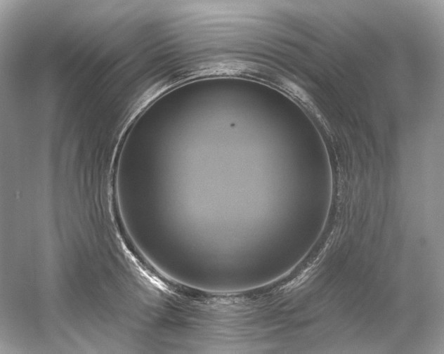 X0000061150802200511181233