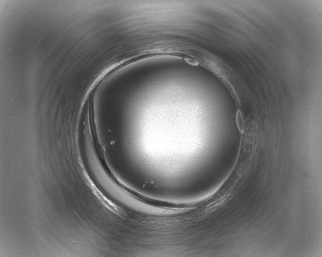 X0000061150803200511181232