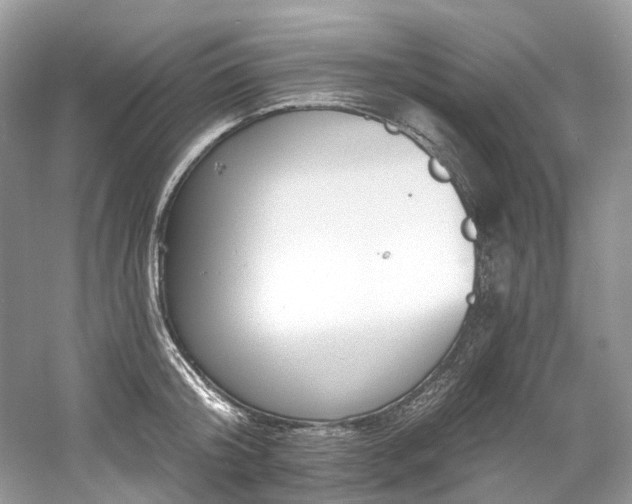 X0000061150804200511181232