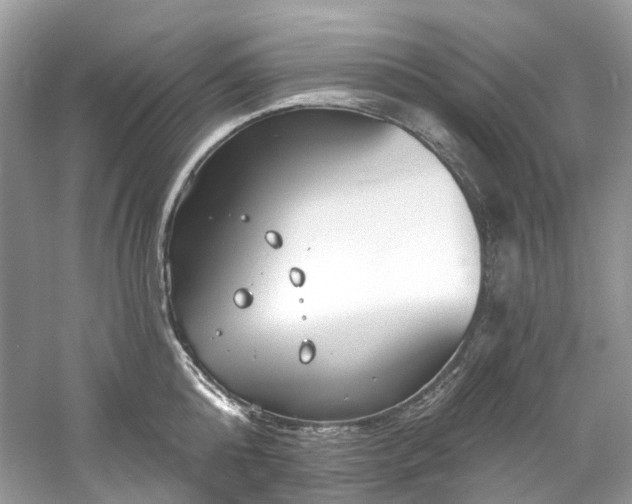 X0000061150808200511181232