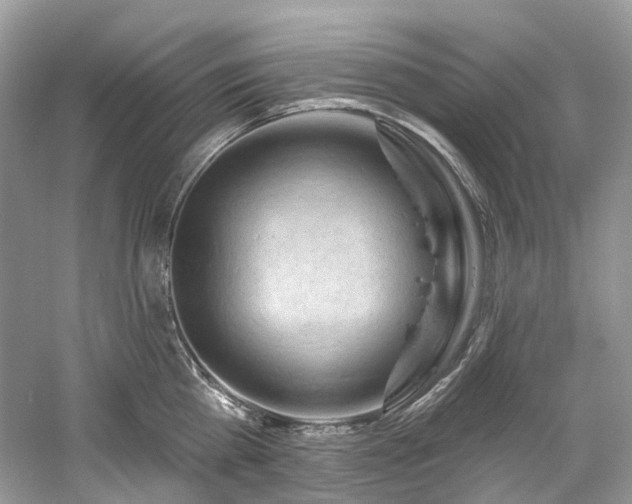 X0000061150809200511181232