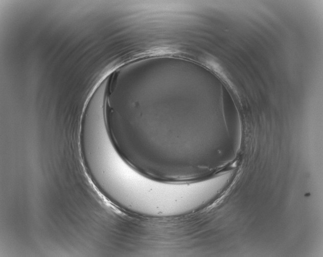 X0000061150810200511181232