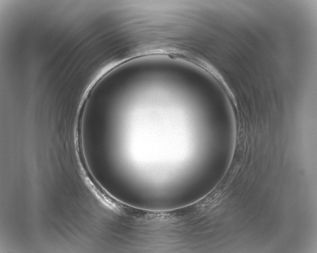 X0000061150811200511181232