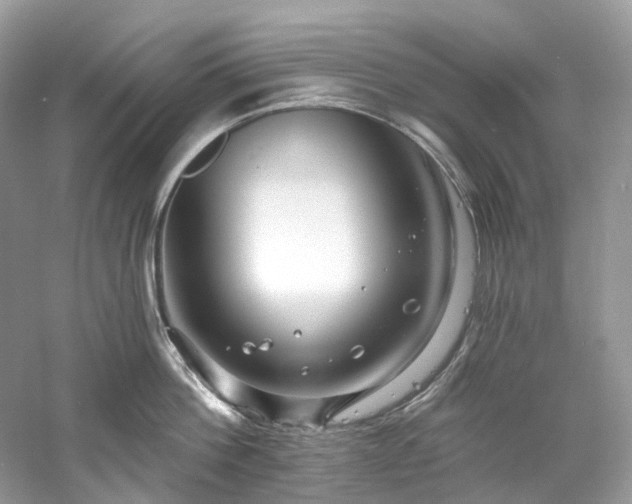 X0000061150812200511181232