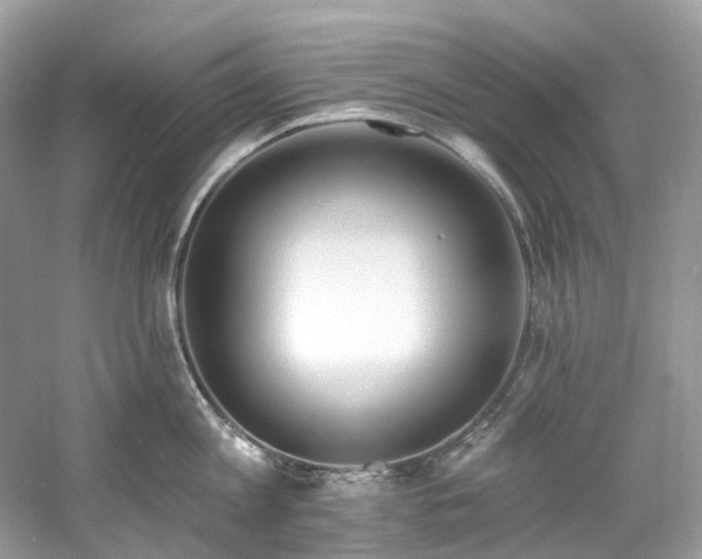 X0000061150813200511181232