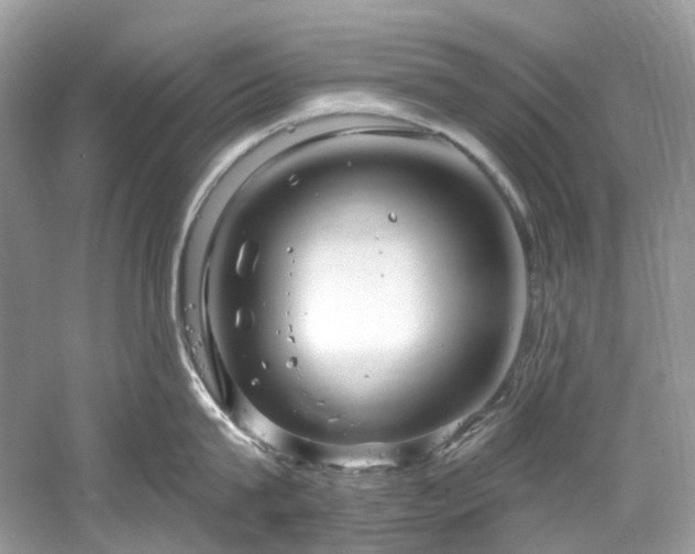 X0000061150815200511181232