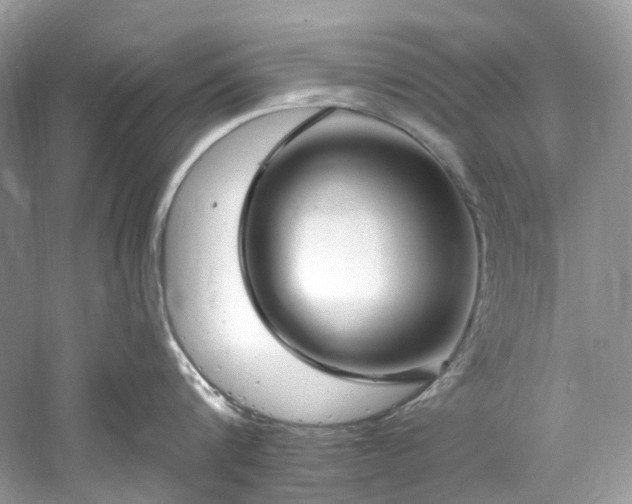 X0000061150816200511181232