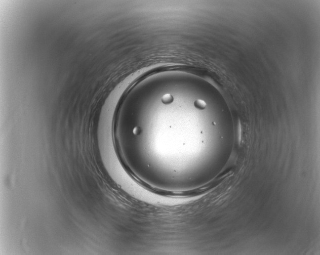 X0000061150818200511181231