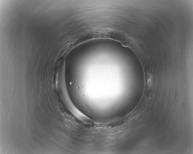 X0000061150819200511181231