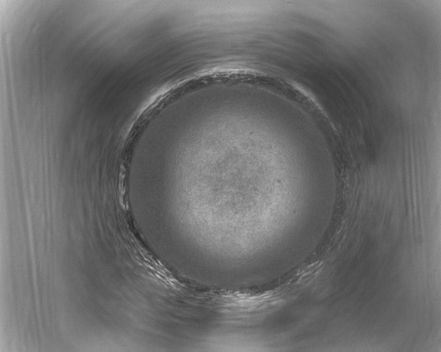 X0000061150823200511181232