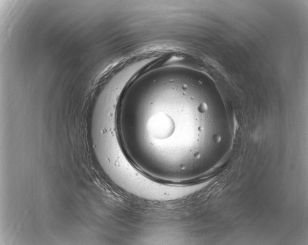 X0000061150824200511181232