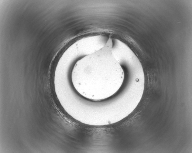 X0000061150828200511181232