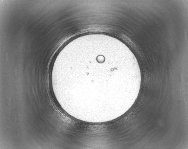 X0000061150836200511181232