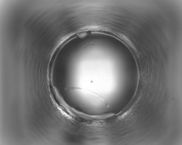 X0000061150839200511181232