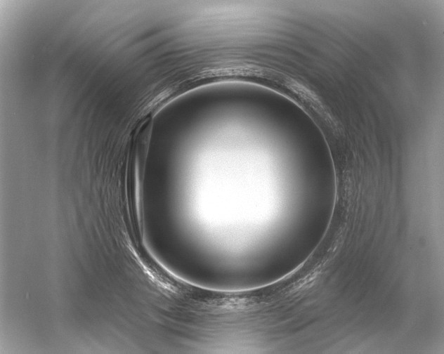 X0000061150841200511181232