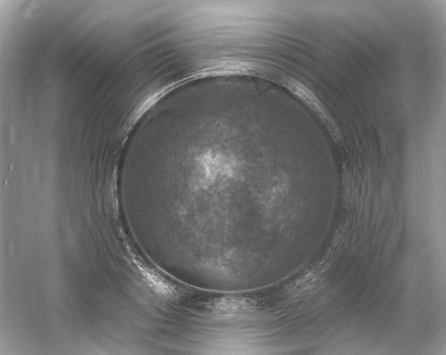 X0000061150842200511181232