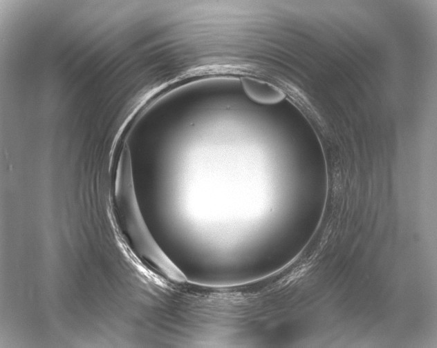 X0000061150844200511181232