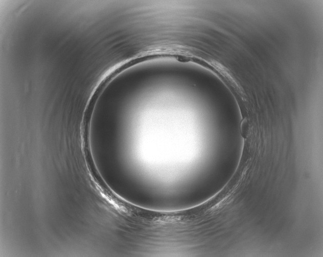 X0000061150846200511181232