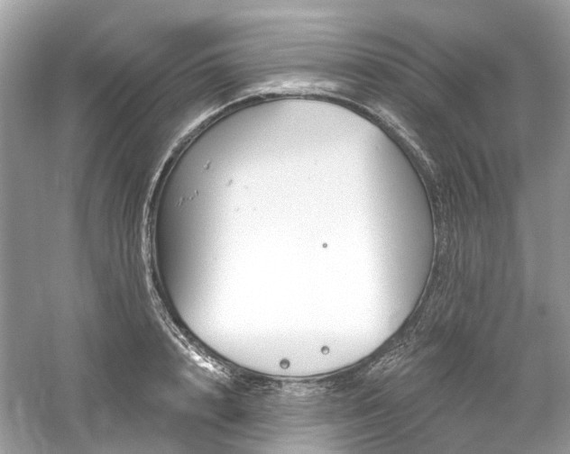 X0000061150848200511181232