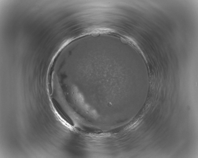 X0000061150851200511181232