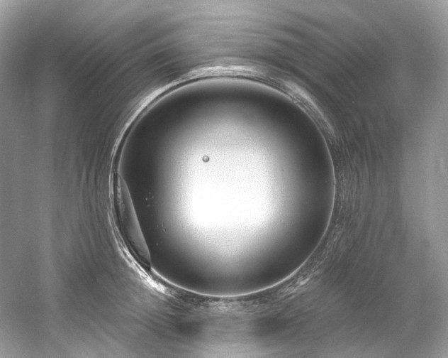 X0000061150852200511181232