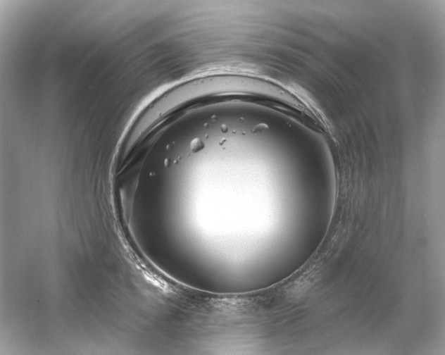 X0000061150854200511181232