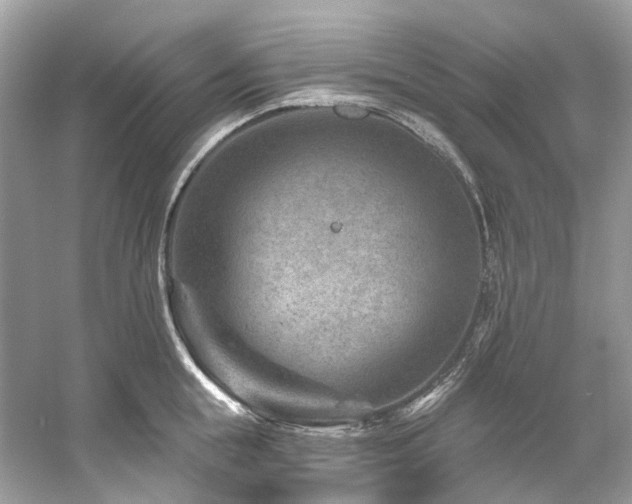 X0000061150855200511181232