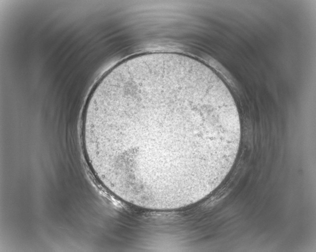 X0000061150856200511181232