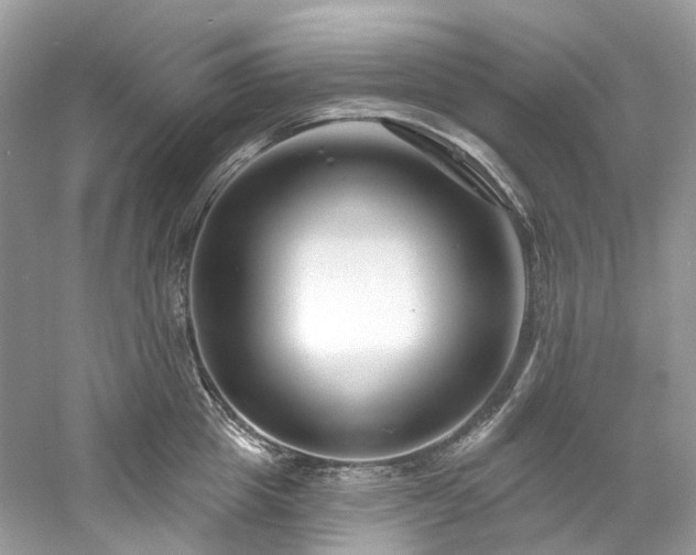 X0000061150857200511181232