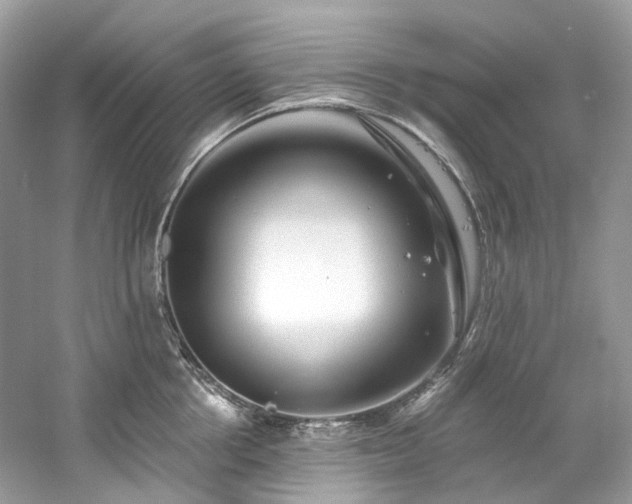 X0000061150858200511181232