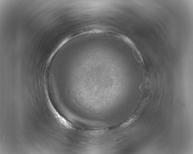 X0000061150859200511181232