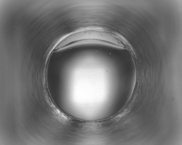 X0000061150860200511181232