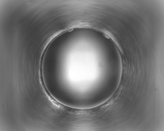 X0000061150861200511181232