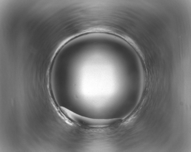 X0000061150862200511181232