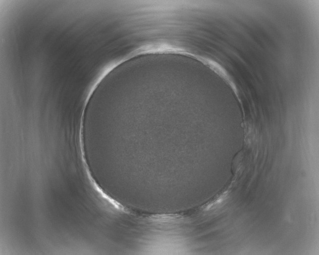 X0000061150863200511181232